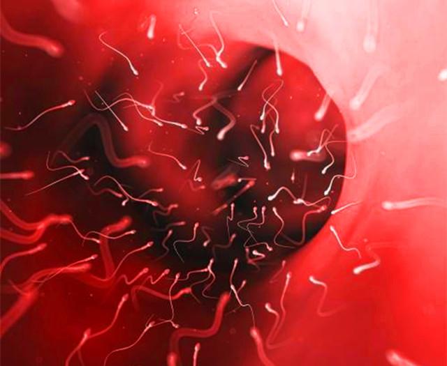 一般多少精子会与卵子相遇,多少亿的精子才能与卵子结合