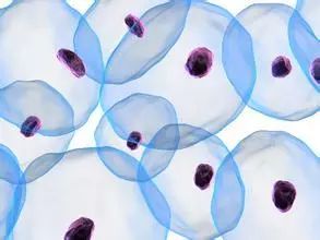 应对当前病毒的药,治疗乙肝病毒的药物有哪些