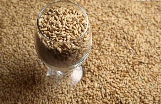 宫颈炎还会癌变?不用慌,一个营养方子,将引起炎症的病毒赶出去