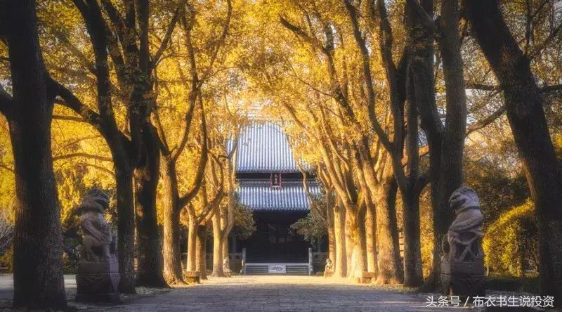 最简单的炒股赚钱方法,最简单却最有效炒股方法