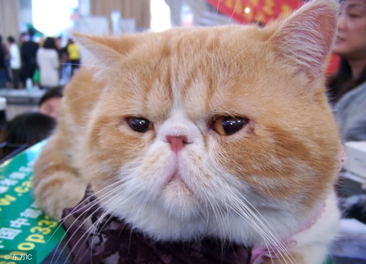 吐槽大会无聊且枯燥,吐槽大会不想上班主题