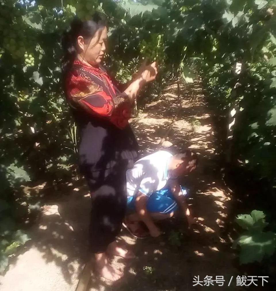 营口发布四个“十大名单”!鲅鱼圈这些人的上榜原因很感人