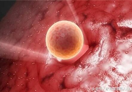 备孕期间排卵期有什么症状,排卵期备孕成功后多久会有症状