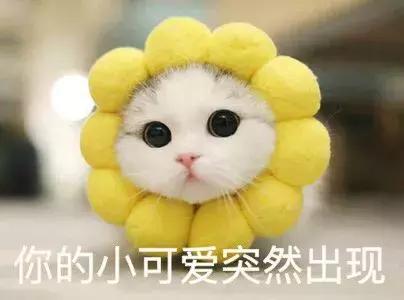 斩男妆到底是什么妆容,日系斩男妆图解