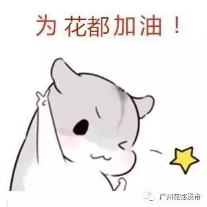 「关注」娃娃兵上演篮坛争霸战！花都区第八届运动会青少年篮球比赛落幕