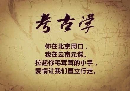 七夕大放送,七夕大放送完整版