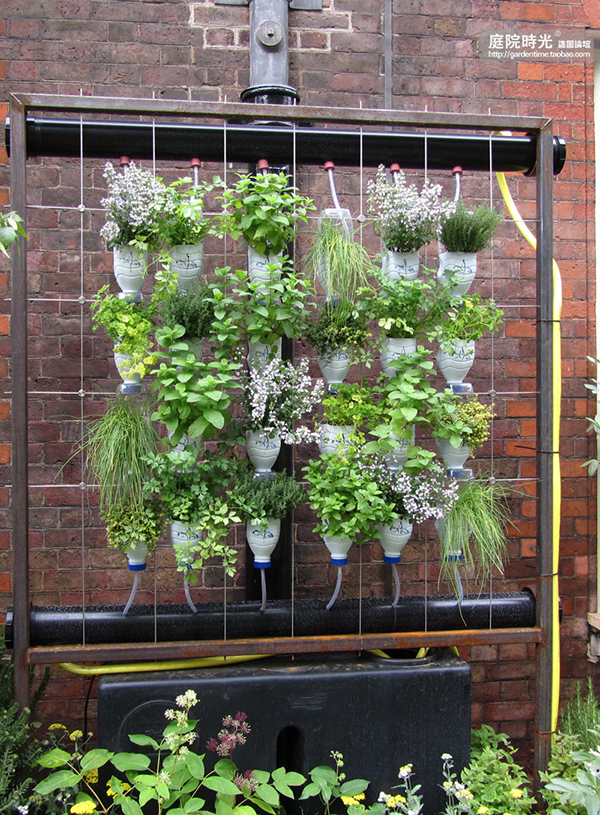 变废为宝自制栽培绿植器皿,塑料瓶创意绿植盆栽旧物利用