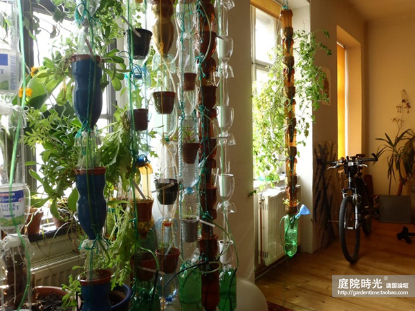 变废为宝自制栽培绿植器皿,塑料瓶创意绿植盆栽旧物利用