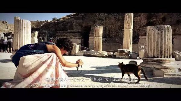 土耳其里拉暴跌50%会怎么样,土耳其的里拉为什么大跌