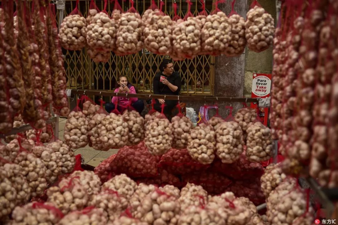 生姜和大蒜治疗牙疼有用吗,大蒜和生姜可以治疗牙疼吗