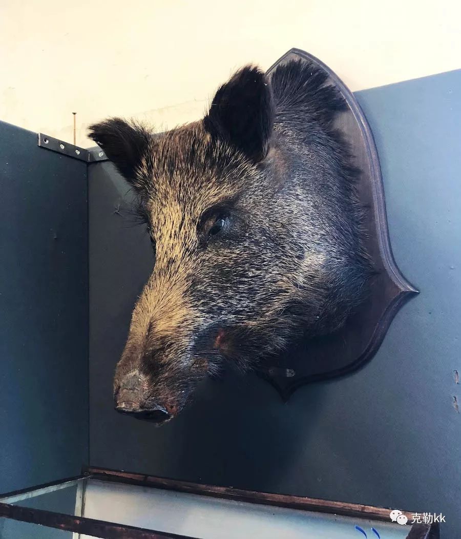 有些东西还是值得回忆的,总想扔旧东西买新东西