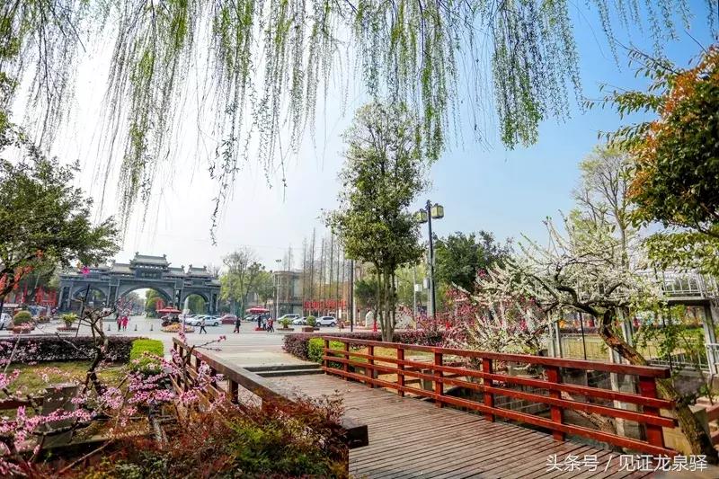 成都龙泉驿有什么好看的地方,成都市最美街道排名