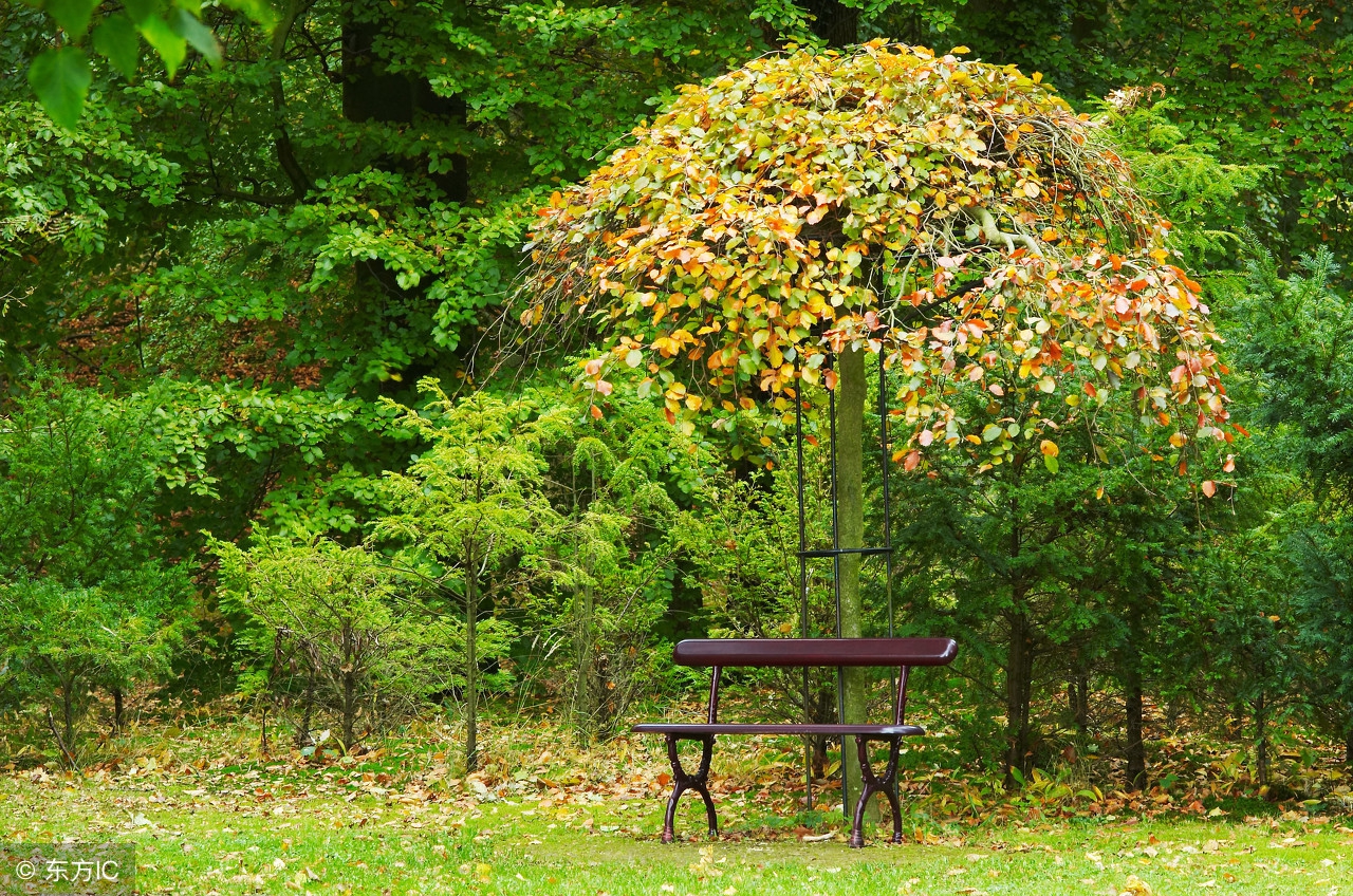自从当母亲后越来越讨厌母亲,自从当了妈之后感觉心态都变了