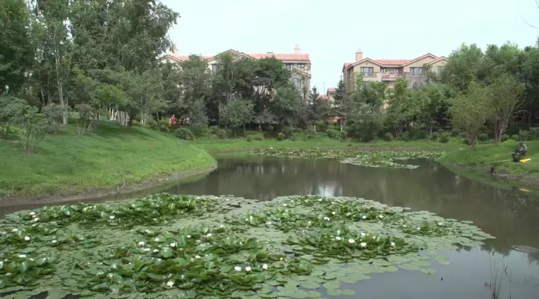 莲花山买房好吗,莲花山旅游度假区适合买房