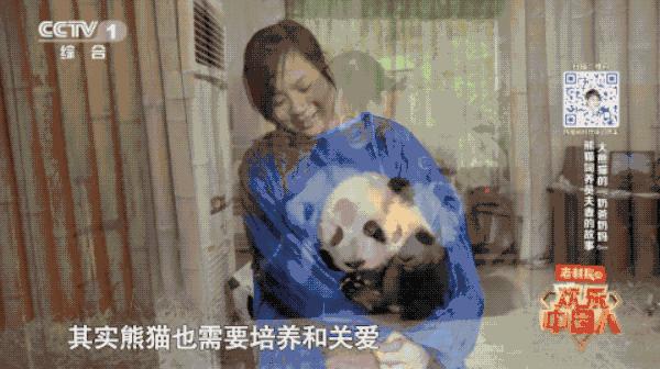 真正的爱就是尊重,真正的爱就是独立自主的人格