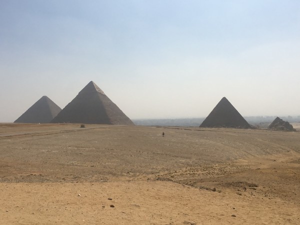 幼年时的梦,年少时的梦原文朗读