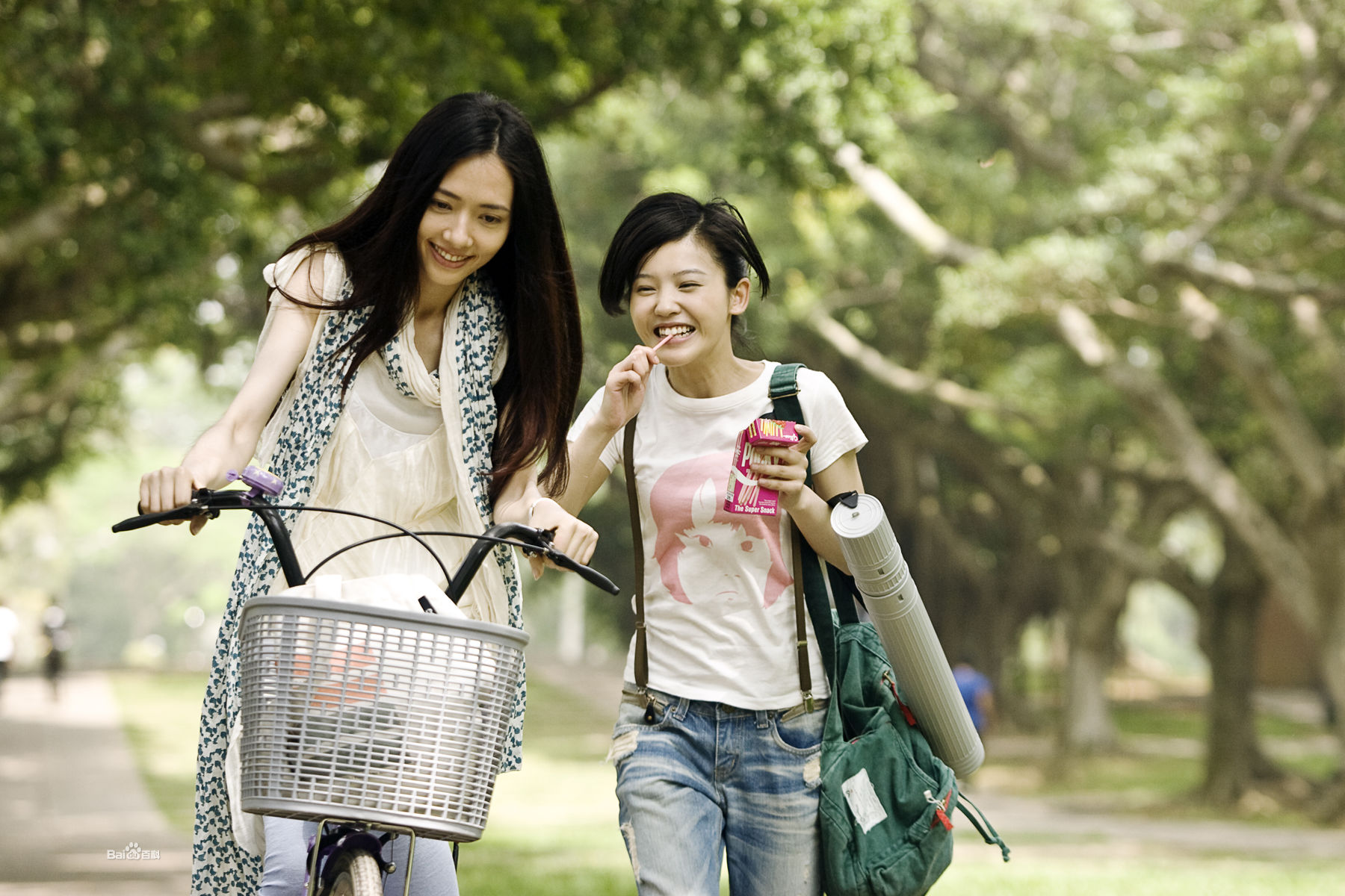 杨子姗是赵薇的艺人吗,杨子姗演的女主角