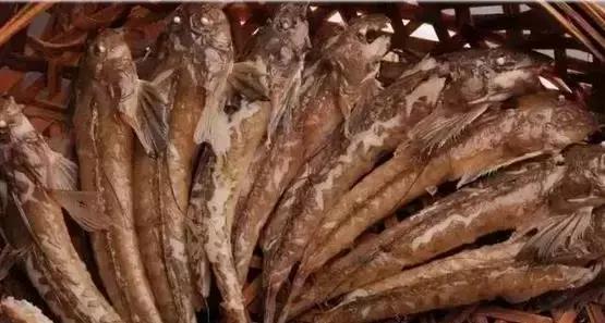 海南的鱼类大全,海南鱼类大全图片