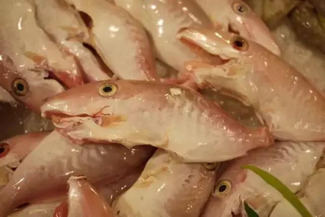 海南的鱼类大全,海南鱼类大全图片