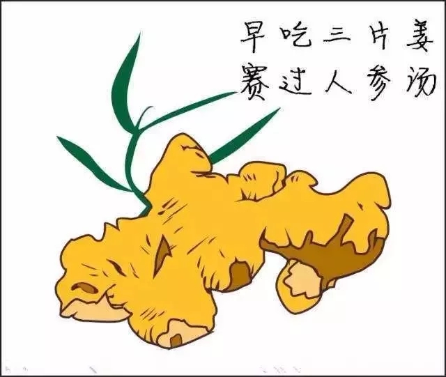 你以为「生姜」只是调味品，其实有药用价值！不过，你吃对了吗？