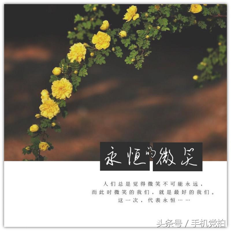 七夕节适合表白的数字浪漫,七夕送玫瑰花卡片写什么情话
