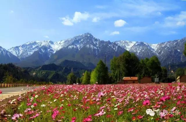 甘肃张掖旅游景点英文视频,张掖七彩丹霞旅游攻略