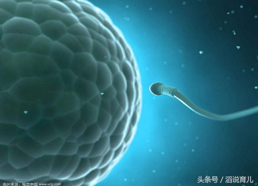 有些女性久久不能怀孕，精子都跑去哪里了？看完你可能就懂了