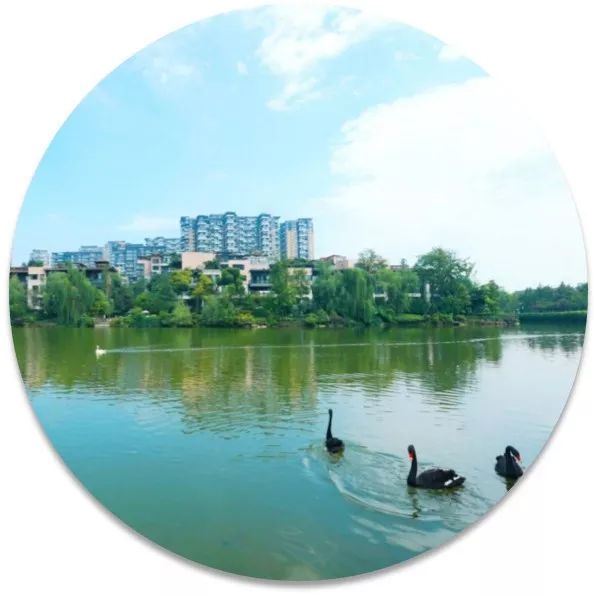 金牛又上榜了！这次是因为……