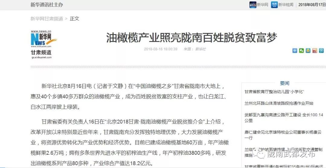 陇南武都橄榄产业发展,陇南油橄榄产业