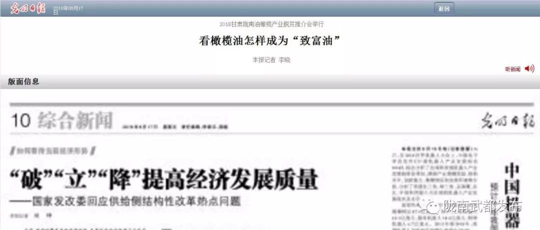 陇南武都橄榄产业发展,陇南油橄榄产业