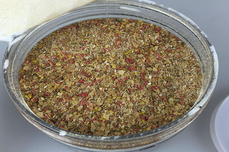 钓鱼避免小鱼闹窝的4个方法,晚上钓鱼为啥不闹小鱼