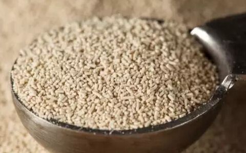 发面膨松剂高活性干酵母,泡发剂膨发剂