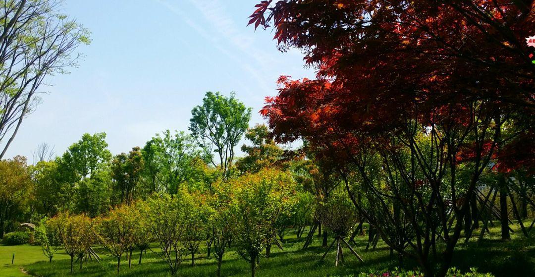 武汉一日游必去十大免费景点,武汉周边免费一日游自驾哪里好玩