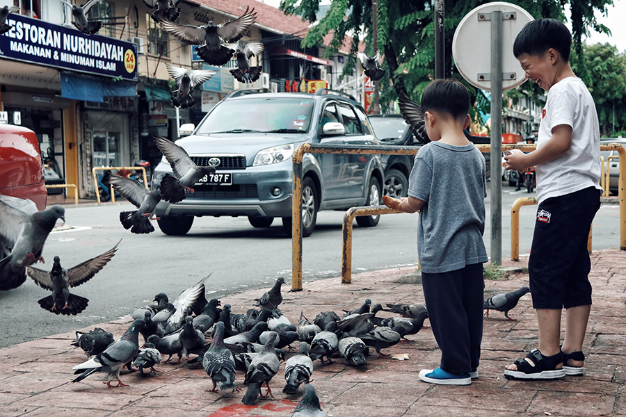 去柬埔寨自由行攻略视频,柬埔寨5天游自由行攻略