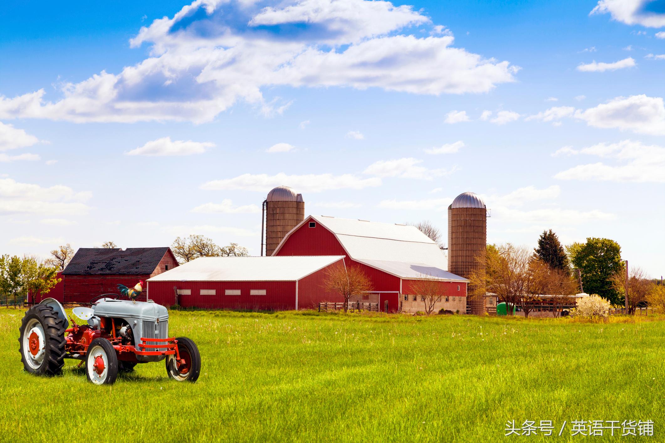 吃鸡游戏里面常用术语,吃鸡游戏有哪些术语