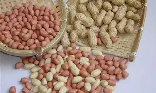 你薅（hao）过花生没？实拍花生收获全流程，提醒吃花生别吃霉的