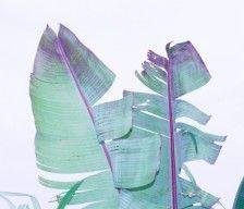 抽雪茄到底是一种什么感受？资深茄友分享