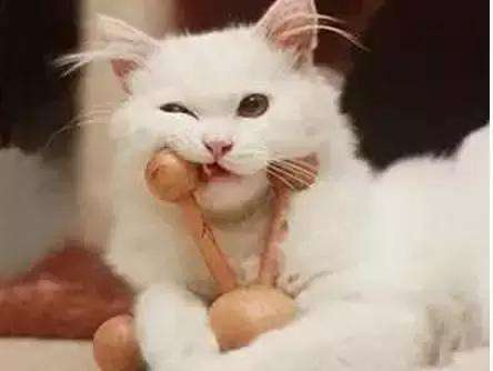 鞋臭异味用什么鞋垫好彻底去除,消除鞋中异味