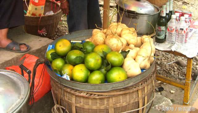 适合农村干的小买卖,农村适合做什么小买卖最挣钱