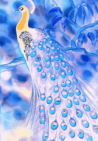 会动的漂亮图片,会动的图片十张