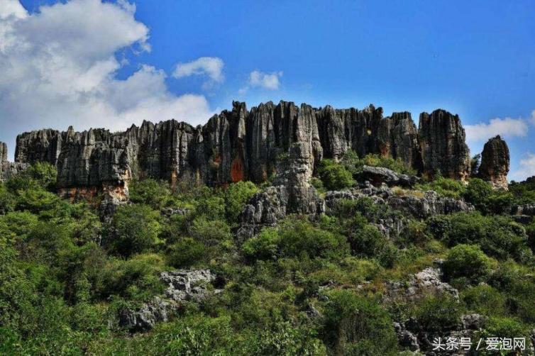 南宁青秀山自驾游从哪个门进入,南宁至张家界自驾游的旅游攻略