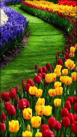 得了直肠炎会变癌吗,结直肠炎很难治