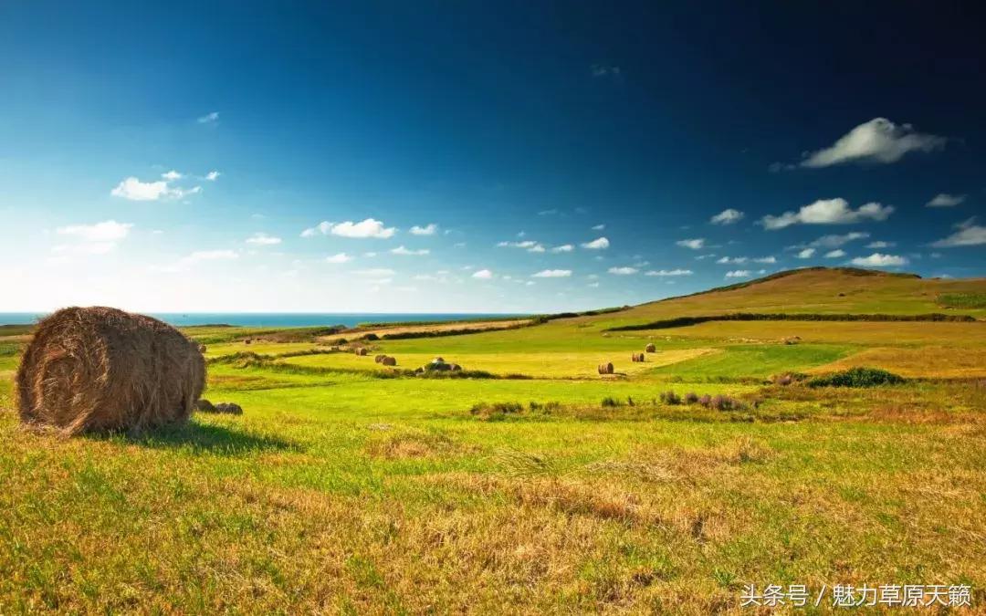一座去了不想走的城市成都,一座去了还想去的城