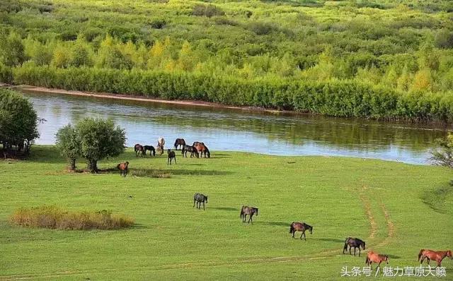 一座去了不想走的城市成都,一座去了还想去的城