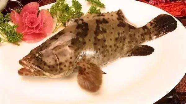 各个地方的美食pk,广州和珠海的美食哪个更好吃