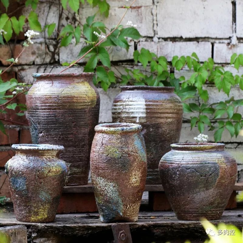 如何养好多多肉,怎么才能养好多肉盆栽