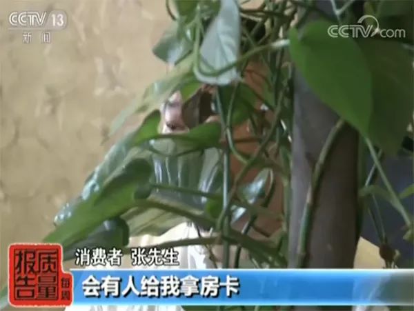 别人用自己的手机号去哪儿网订票,为什么去哪儿网频繁发订房信息