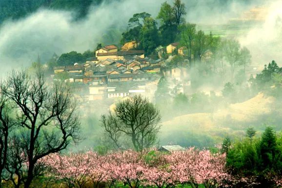 丽水遂昌市区,在丽水的遂昌