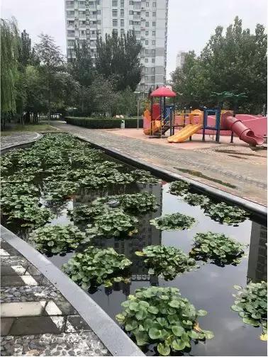 北京丰台买房青塔,丰台区青塔房子值得买吗