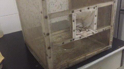 驱蚊产品多人测评儿童,驱蚊产品排行榜10强